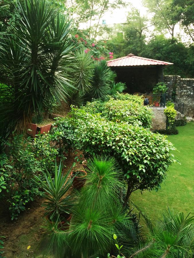 Siswan Jungle Lodge Baddi Zewnętrze zdjęcie