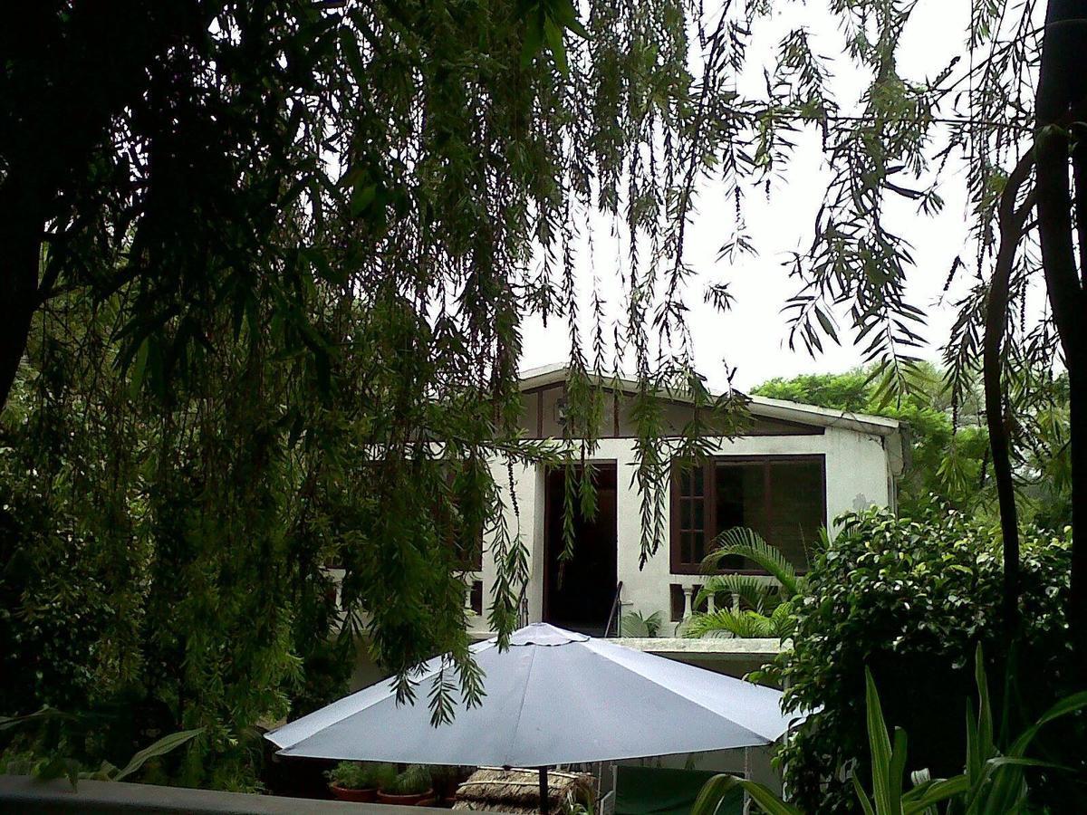 Siswan Jungle Lodge Baddi Zewnętrze zdjęcie